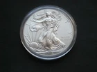 2013 American Silver Eagle Type 1 BU .999 1 Troy oz Fine Silver Coin in Capsule