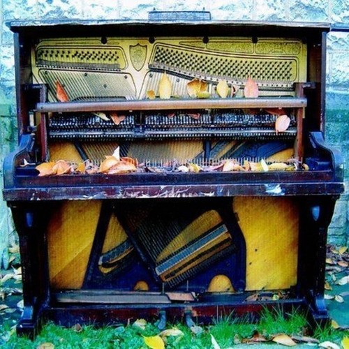 BIG INDIE ALTERNATIVE SALE = Various Bands Zur Auswahl = NEUWARE = ROCK POP FOLK - Bild 49 von 178