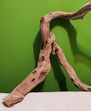 Manzanita Driftwood