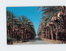 Postcard Date Harvest Time