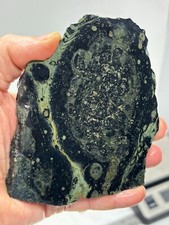 Kambaba Jasper Stromatolite Slab Lapidary Cabbing Combo Ship Avail