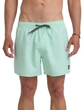 Quiksilver Everyday 15" Men's Volley Shorts - Brook Green - New