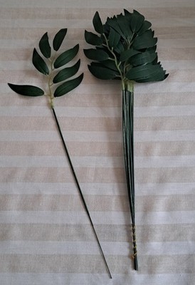 24 Weideneukalyptusstiele 35cm grün