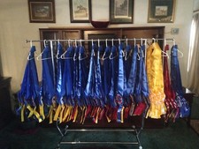 Lots Of Horse Show Award Ribbons Rosettes Cha...