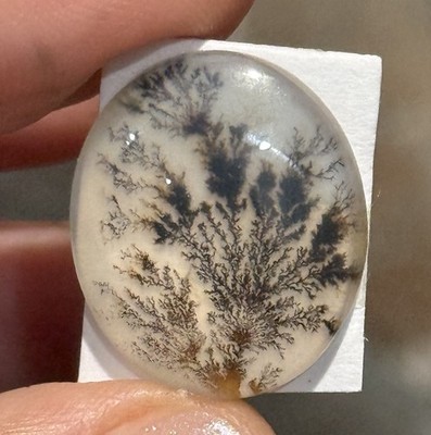 12.9ct 20.8x18x5.2mm Dendritic Agate Crystal Doublet Oval Cabochon Picture Stone