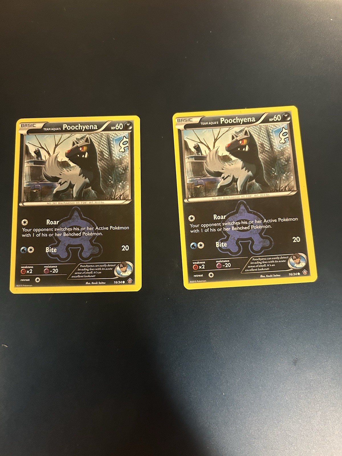 Team Aqua's Poochyena 16/34 Pokemon Double Crisis Regular - LP Lot Of 2