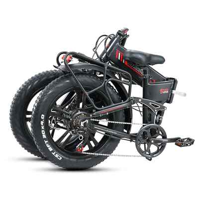 Electric Bike 1000w Bici Elettrica 1000 Watt RANDRIDE 48V 20AH