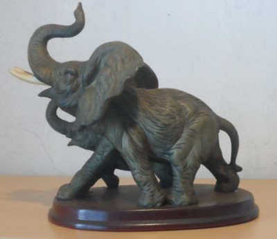 Elefant