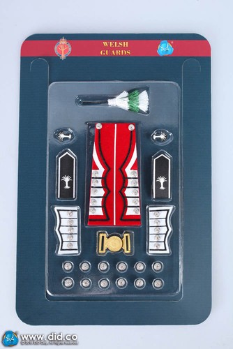 DRAGON DREAMS DID ESCALA 1/6 MODERNO BRITISH THE GUARDS COLDSTREAM GRANADERO IRLANDÉS - Imagen 10 de 11
