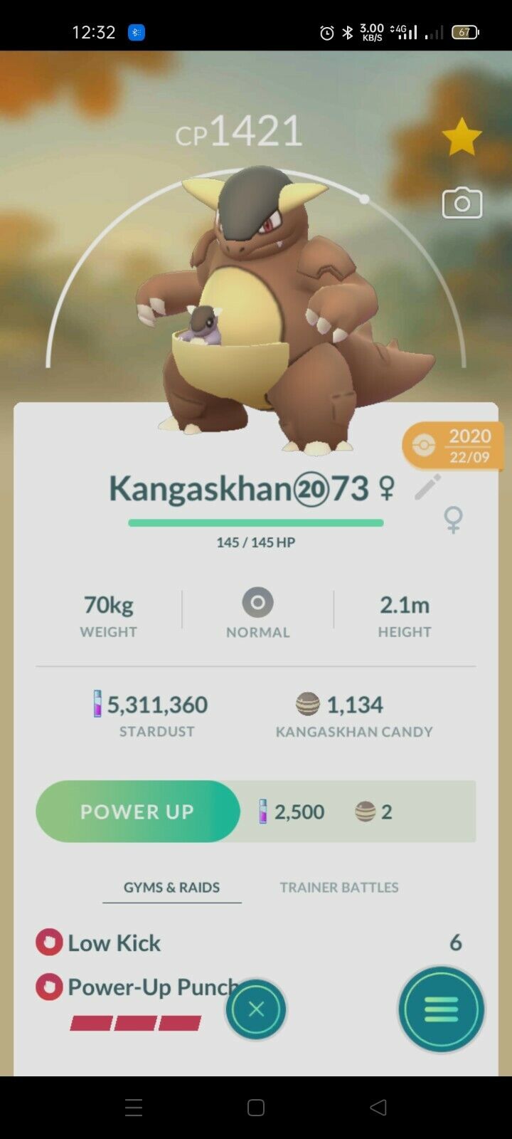 Pokémon Go regional Kangaskhan l ! ~~unregistered ok~ same day fast