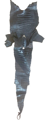 American Alligator Hide 3' Black Matte 34 cm WHOLE Real Genuine  1554-J3