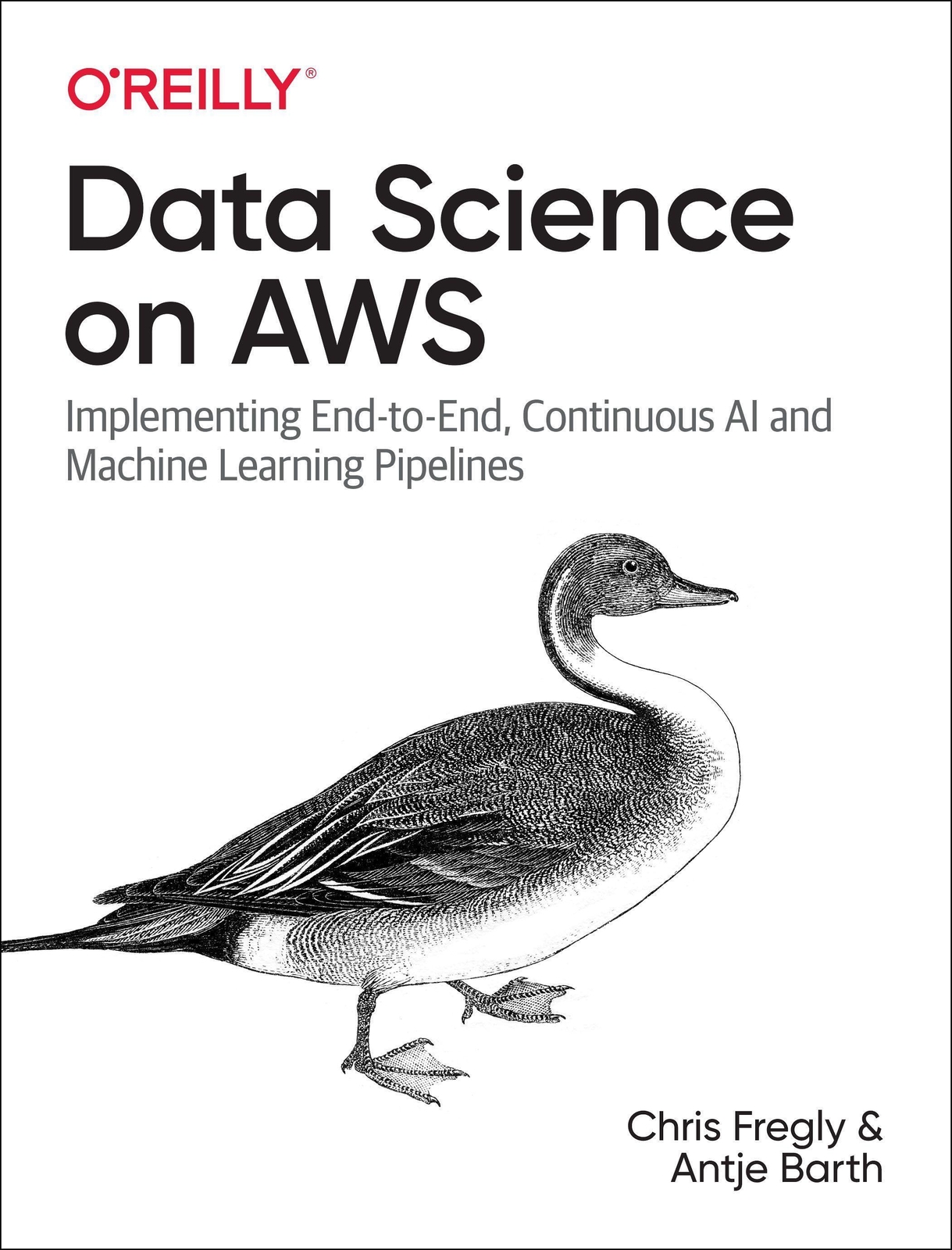 Thumbnail - Data Science On Aws, Chris Fregly