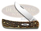 Case xx Knives Sodbuster Jr. Jigged Amber Bone Stainless Pocket Knife 00245