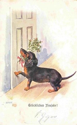 Dachshund Dachshund Teckel dogs dogs Chiens Cani New Year