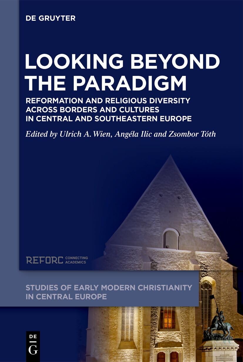 Looking beyond the Paradigm - Angela Ilic - Hardback - Very Good