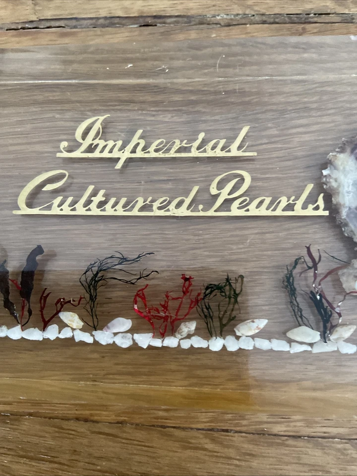 Exhibición publicitaria vintage Lucite Jewelers perlas cultivadas peces perla concha  Foto 4 de 4