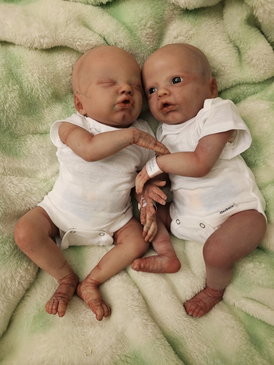 Beautifully Handcrafted Reborn twins 19