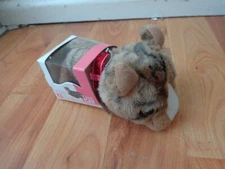 GENUINE THE CAT ARTLIST COLLECTION - AMERICAN CURL PLUSH SOFT TOY