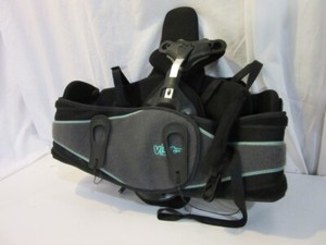 vista back brace