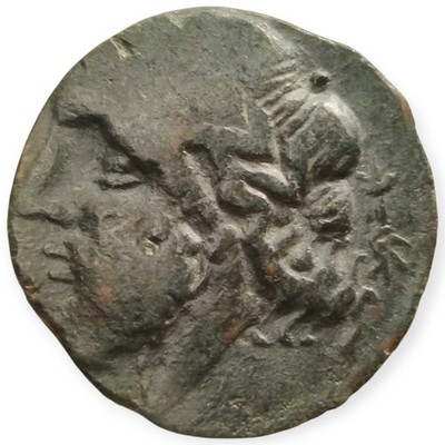 Arpi, Apulia AE 3rd Century BC Zeus Boar Greek Ancient Bronze Coin 2R