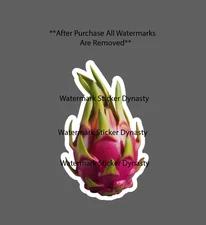 Dragon Fruit Sticker Waterproof Decal Exotic Food Health Plant Gift NEW