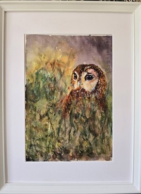 Original Aquarell Gemälde Eule Vogel Tierwelt Kunst gerahmt