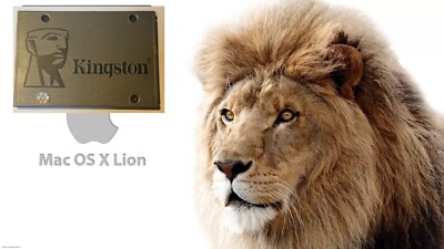 KINGSTON APPLE MACBOOK PRO 240GB 2,5 SSD SOLID STATE DRIVE + OSX LION PLUG & PLAY