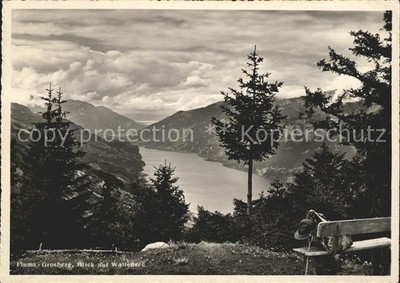 Grossberg Flums Panoramic View of Lake Walen Mountain Hiking