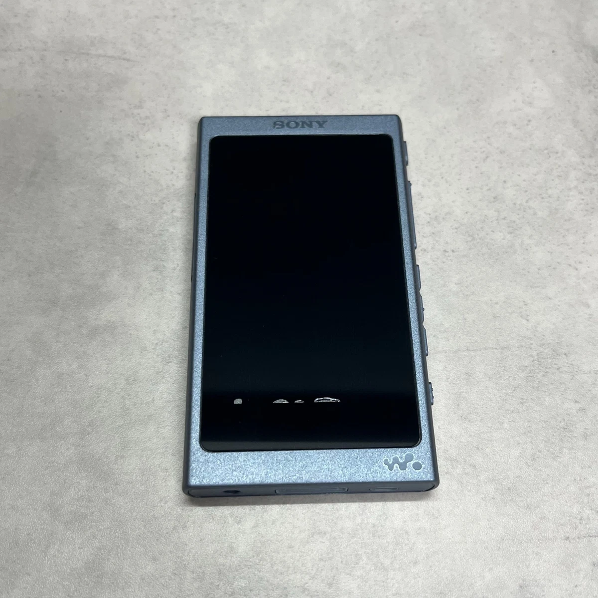 Sony NW-A46 Walkman gris 32 Go lecteur audio portable haute résolution testé ...