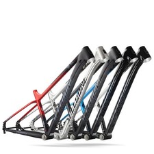 Telaio bici fuoristrada 29" carbonio mountain bike con asse canna pista adatto BMX