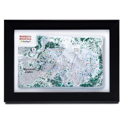 Mammoth Mountain Ski Resort 3D Raised Relief Map