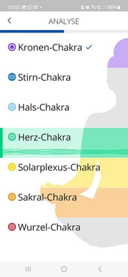 Healy  Resonance plus 2004 nwtg Aura Analyse und Coaching Programm Keine Abos