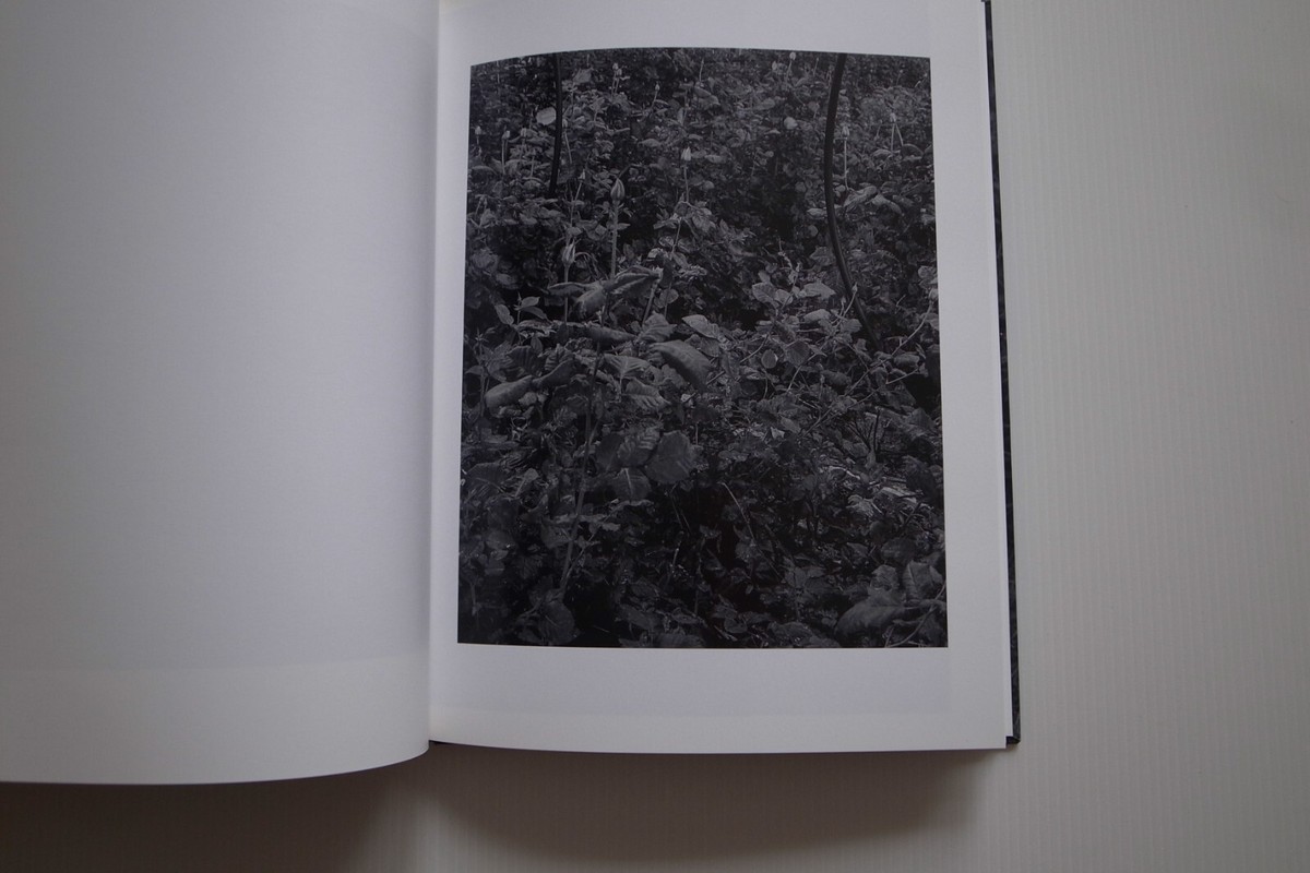 Daniel Reuter: History Of The Visit Hardcover 2014 photo