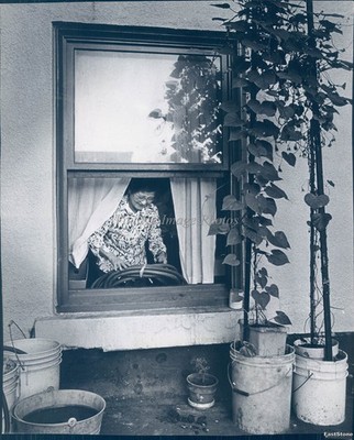 1978 Publix Hotel Fifth Ave Mrs Hoshiwara Rooftop Garden Vintage Photo 8x10