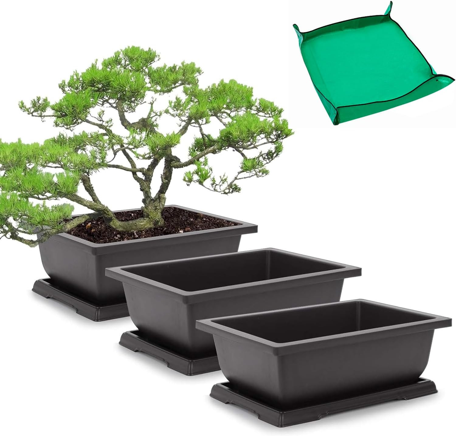 GROWNEER Bonsai Training Pots 3 Packs 9Inch with Drainage Humidity Trays, Bonsai