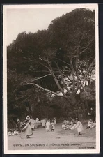 CPA Giens /Var, Un Sous-Bois à l´Hopital Renée-Sabran 1909 