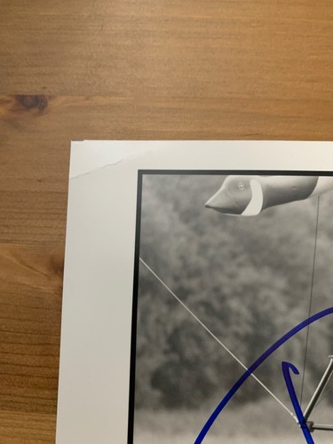 Jeff Daniels signed Foto 8x10 Schauspieler Dumm & Dümmer Fly Away Home Autogramm - Bild 2 von 3