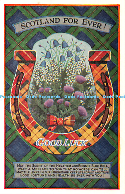 R340143 Schottland für immer Viel Glück Hufeisen und Blumen Postkarte