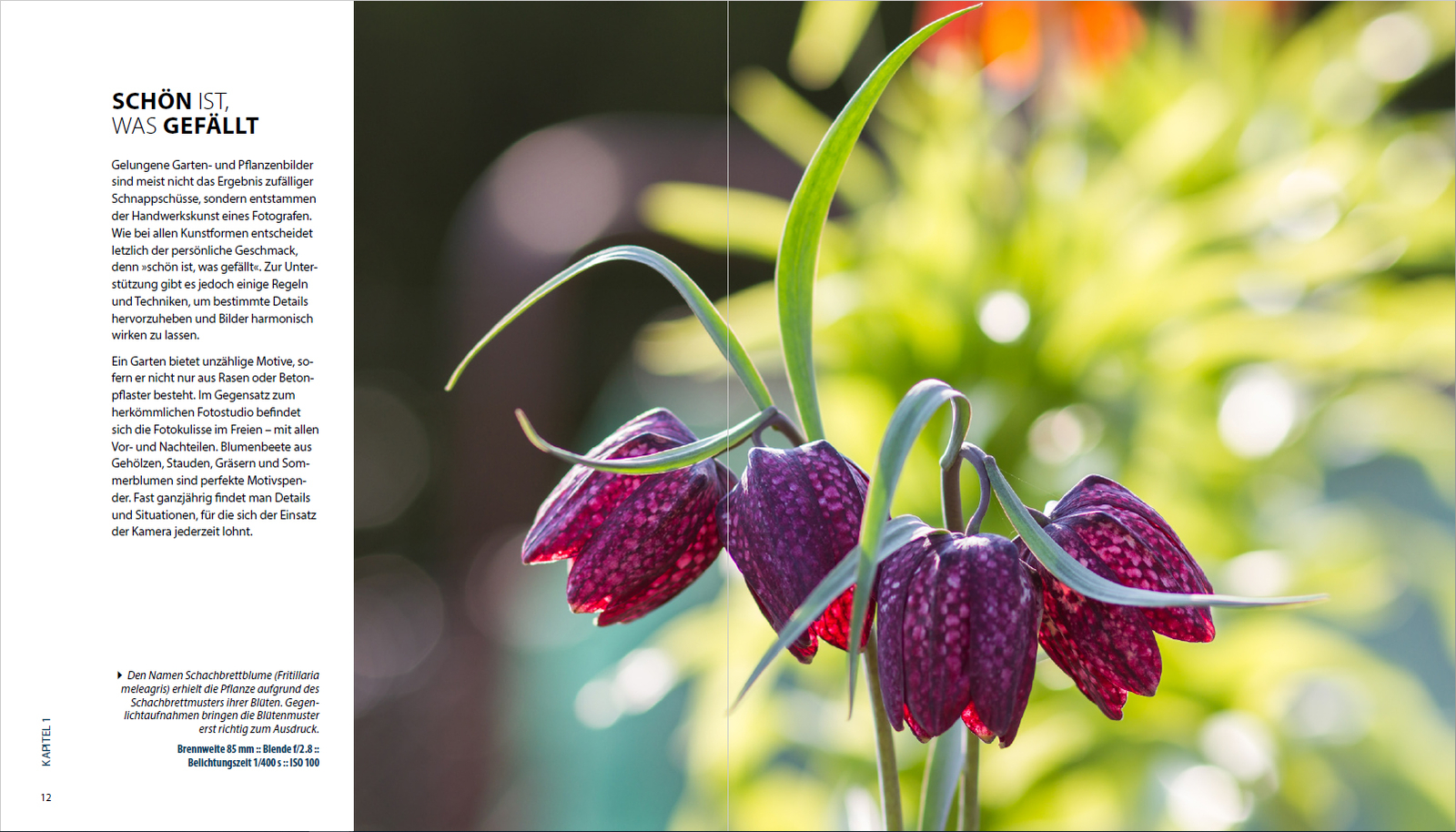 Thumbnail - Garten-shooting Dirk Mann