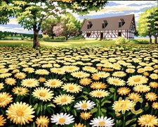 Marigold Flower Field Printed Needlepoint Canvas FA01