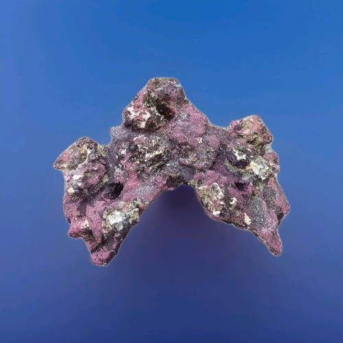 Purple Reef Live Rock - Saltwater Aquarium