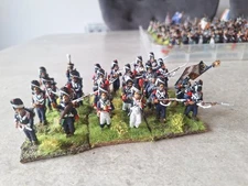  28mm Napoleonic French Old Guard Chasseurs 