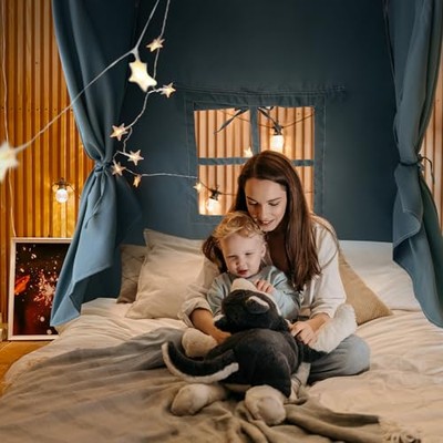 Camping Diy Kids Bed Tent Diy Tent Bed Room Girls Twin Bed Tent