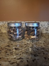 Dehydrated Illinois Morel Mushrooms