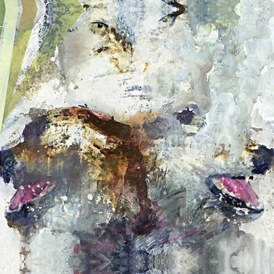 These Arms Are Snakes: Tail Swallower and Dove (*2008) [CD]