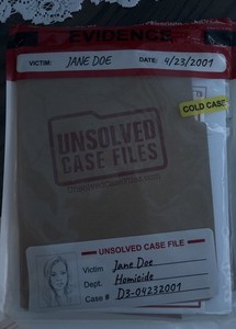 Unsolved Case Files Cold Case Jane Doe AS IS