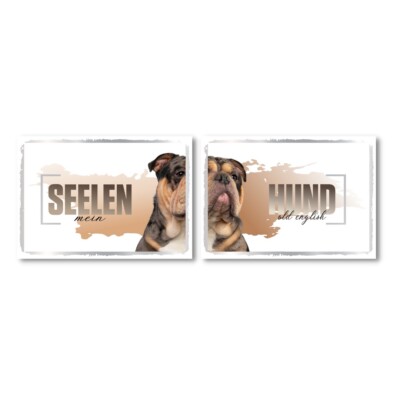 Old English Bulldog 2 Seelenhund Doppel Pack Dog Schild Spruch Türschild Hundesc