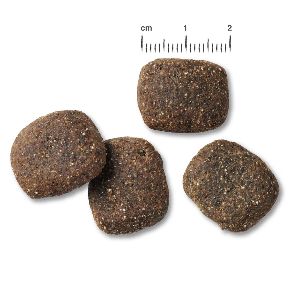 2 x 12,5 kg Belcando Adult Power Trockenfutter Hundefutter Hund Sport Sparpaket - Bild 2 von 3