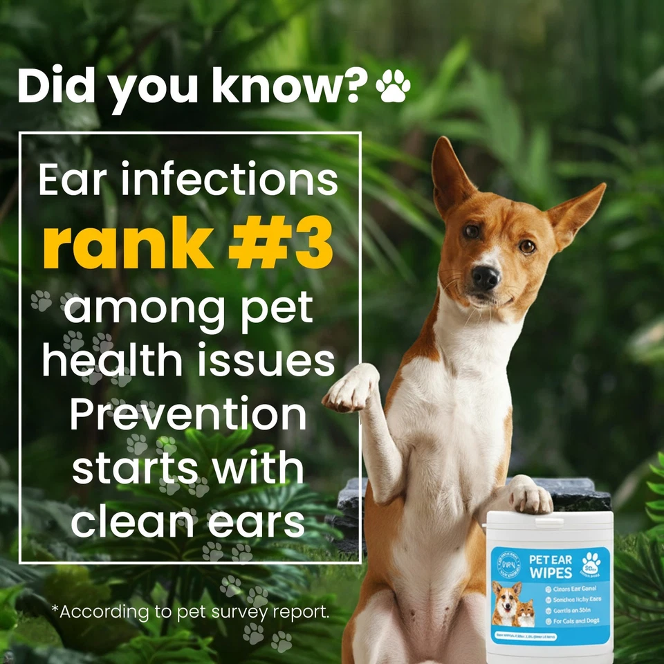 Pet Ear Wipes for Dogs Cats -Dog Ear Cleaner Wipes, Finger Wipes Rosemary - 50CT - Image 2 of 4