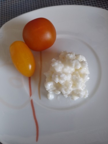 Kaukasischer Kefir Milchkefir 10 gr. Kefirpilz Kefirknolle